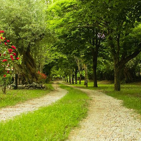 Вілла Ciclopark Морано-Калабро Екстер'єр фото